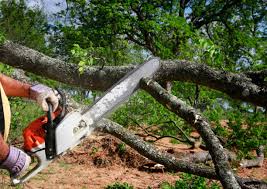 Best Leaf Removal  in Fairmount, GA